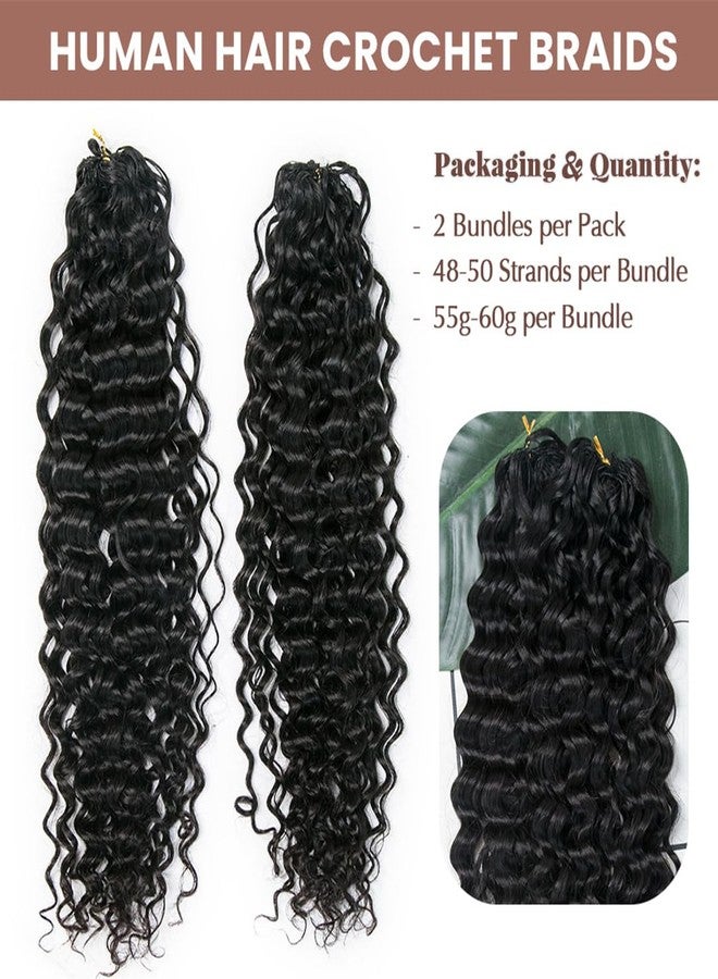 Y WIGS YWIGS Pre-Separated Human Crochet Hair Water Wave Crochet Human Hair Extensions Feather Crochet Human Hair 20" NC 100 Strands - Image 2